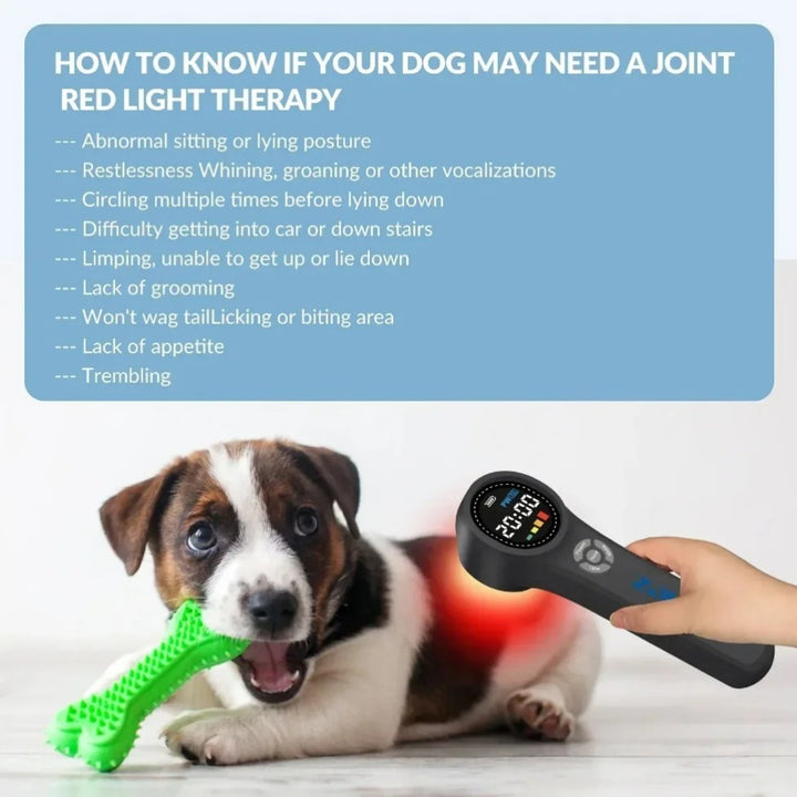 Premium Cold Laser Therapy Device for Pain Relief | 4x808nm & 16x650nm Infrared Light Therapy | Handheld Massager for Arthritis & Muscle Relaxation | Non-Invasive Pain Management