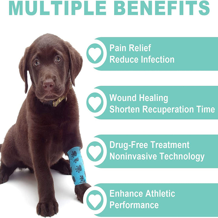 Premium Cold Laser Therapy Device for Pain Relief | 4x808nm & 16x650nm Infrared Light Therapy | Handheld Massager for Arthritis & Muscle Relaxation | Non-Invasive Pain Management