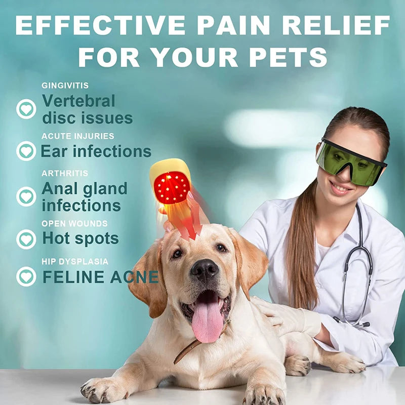 Premium Cold Laser Therapy Device for Pets – Dual 808nm and 650nm Red Light Handheld Vet Therapy Tool