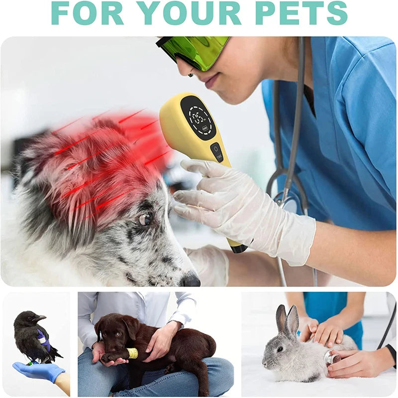 Premium Cold Laser Therapy Device for Pets – Dual 808nm and 650nm Red Light Handheld Vet Therapy Tool