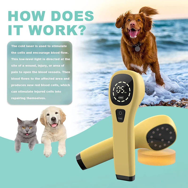 Premium Cold Laser Therapy Device for Pets – Dual 808nm and 650nm Red Light Handheld Vet Therapy Tool