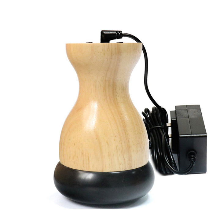 Premium Hot Stone Electric Gua Sha Massager – Back and Waist Massage Tool for Relaxing Muscles, Body Warm Moxibustion Therapy Spa with Bian Stone, Acupuncture, and Collateral Dredging