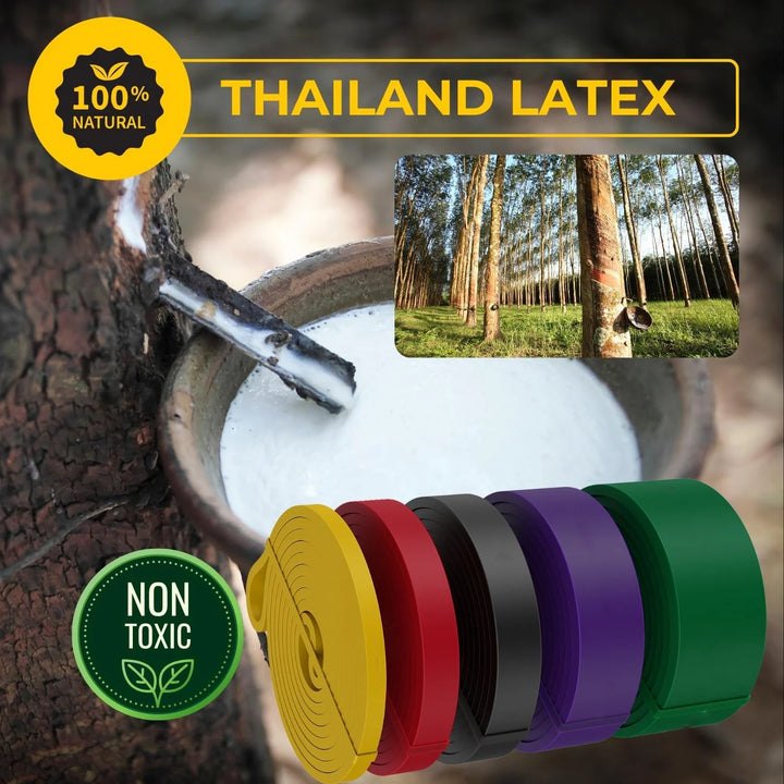 Premium Natural Latex Resistance Bands – Elastic Power Bands for Strength Training, Fitness Workouts and Home Gym Exercises