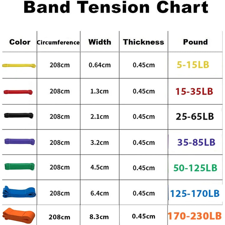 Premium Natural Latex Resistance Bands – Elastic Power Bands for Strength Training, Fitness Workouts and Home Gym Exercises