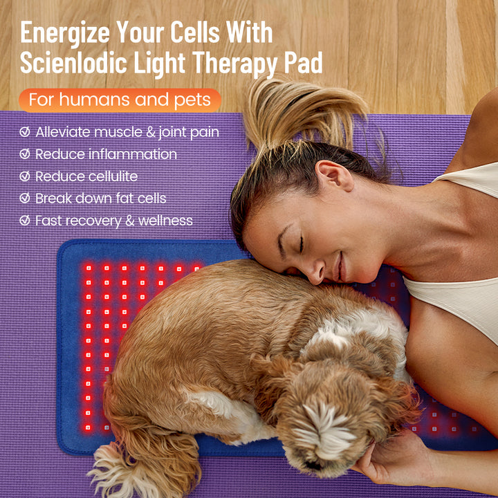 Premium Red & Infrared Therapy Belt for Body Pain Relief & Slimming – 660nm/850nm Large LED Heating Pad with 360 LEDs, Wearable Wrap for Muscle Recovery, Joint Health, and Skin Rejuvenation