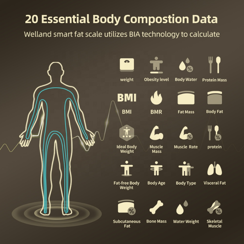 Premium Smart Body Composition Scale - Digital Bioimpedance Scale for Body Fat, Weight & Health Tracking, 2023 New, High Precision, Ideal for Home Use